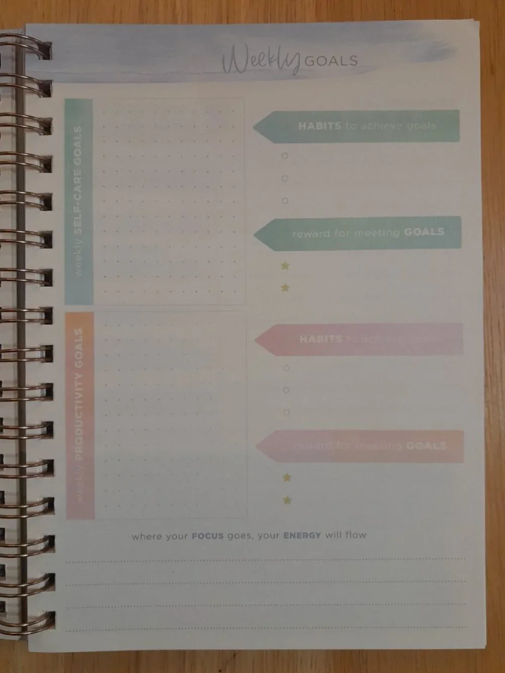 Wellness Journal by Clementine Paper Inc